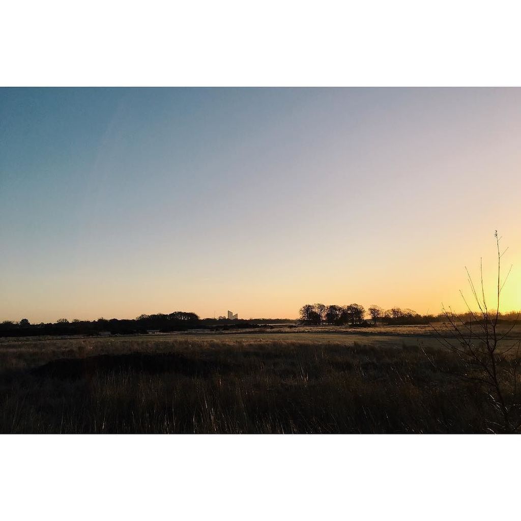 Fox and Favour tweet media