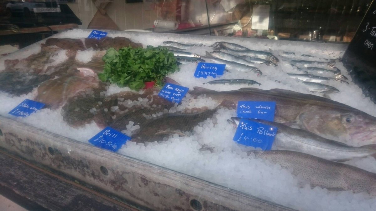 Our locally caught fresh fish supply is looking good!!