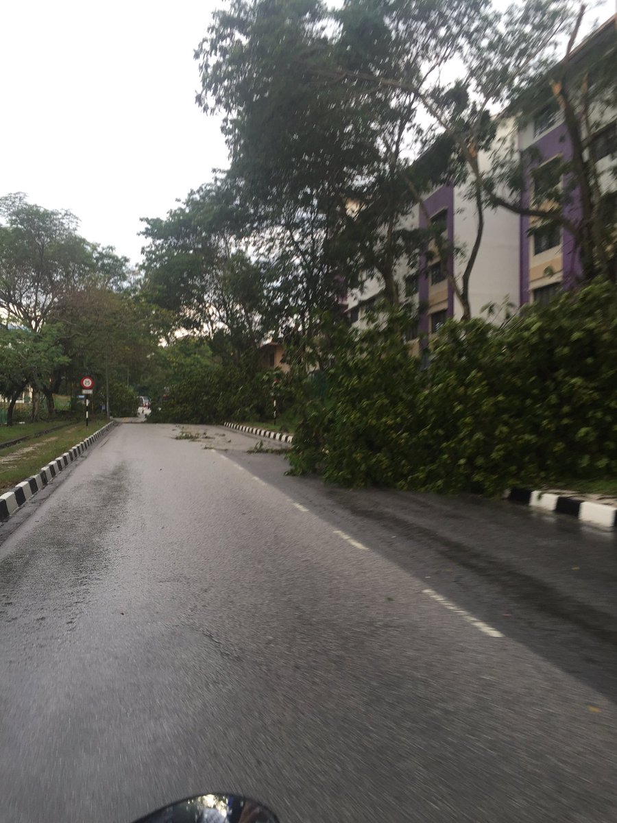RayzFoxz's tweet photo. Ribut di Uitm shah alam teruk jugak 🌪😥 https://t.co/HcZ2SzPFwf