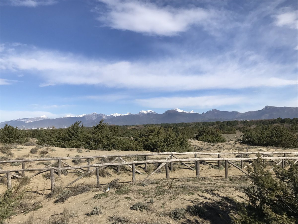 Teo53Doriangrey's tweet photo. Stamani trail-Running sulle dune #mtbteo53 #dune #vialone #inversilia #biciversilia #petithotel #garmin https://t.co/dDQqyNYSxE