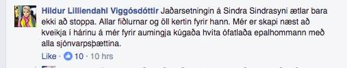 Þessi kona á að vera þekkt fyrir að berjast fyrir jafnrétti en alltaf þegar ég sé hana skrifa um eitthvað þá hugsa ég bara eitt. Netníðingur