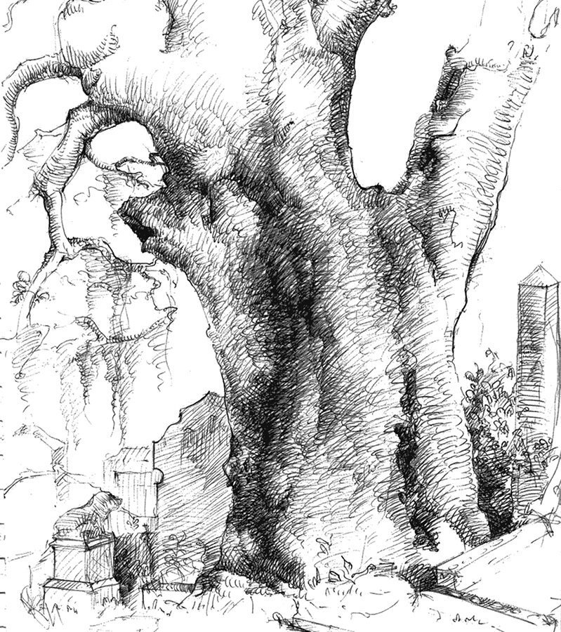 authordougt's tweet photo. A #drawing from the forthcoming #novel "#Ayleth of Ravenswood &amp; the King's Engineer". Read the first chapter: https://t.co/bNr4jiRrEl

#book https://t.co/hWrTEKThT8