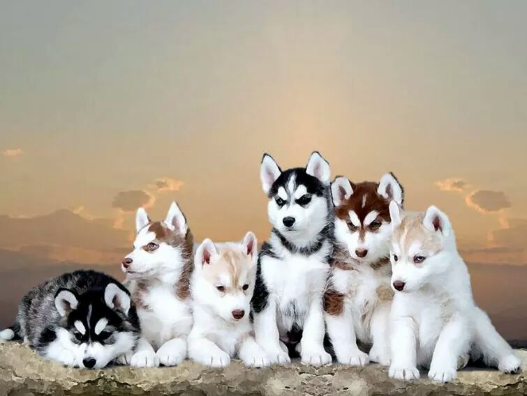 vicman093's tweet image. 