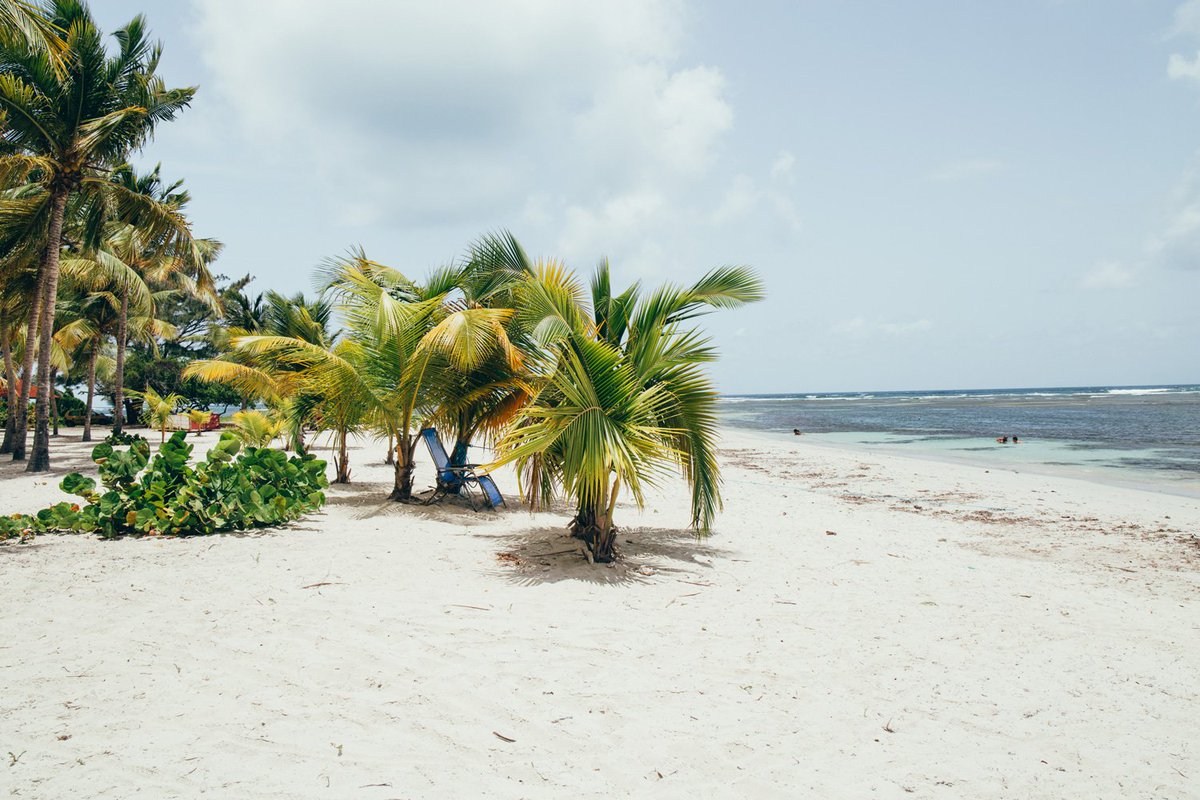 hellolaroux's tweet photo. La douceur des Caraîbes et de la #Guadeloupe tout particulièrement : https://t.co/VngXer9YFl https://t.co/UB5CZc4eoy