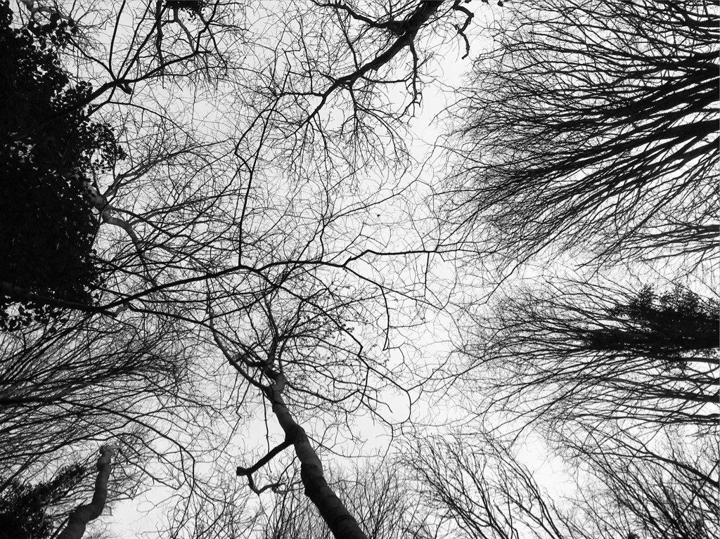 Always remember to look up #WyeValley