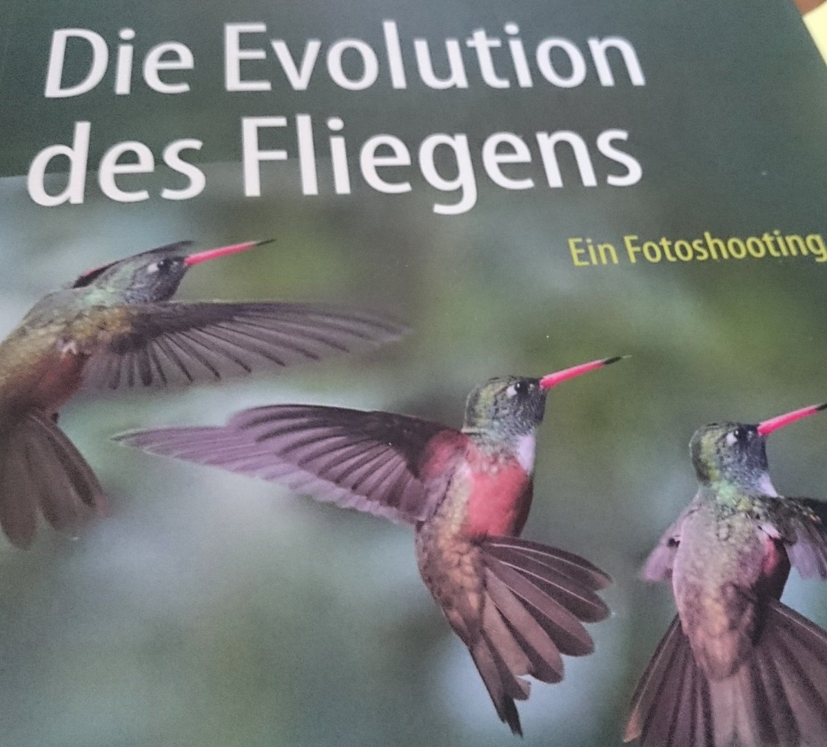Tolles neues Buch mit spektakulären Illustrationen von #MarkusRoskar erschienen #Springer #Verlag #Wissenschaft #Tiere #Evolution #Fliegen