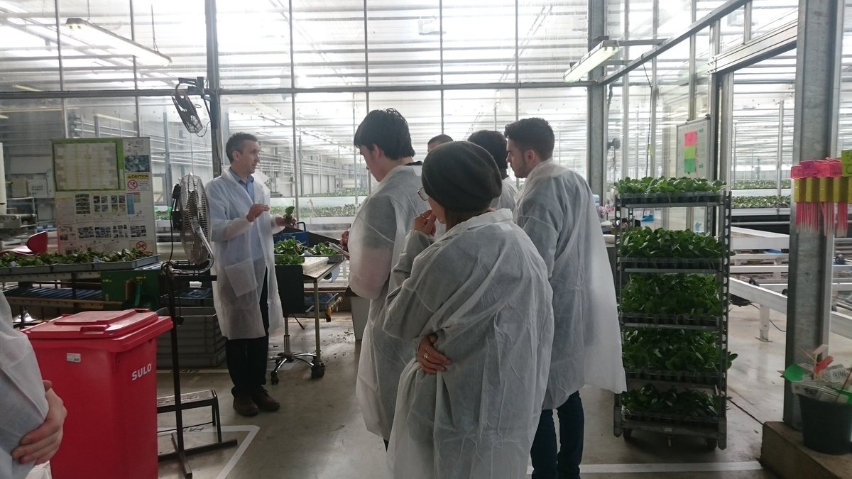 dfancourt1's tweet photo. Great visit to @DoubleHuk today with Level 3 Hort students from @Sparsholt_Coll. Vital industry knowledge on horticultural production gained https://t.co/W9mgzUL0CT