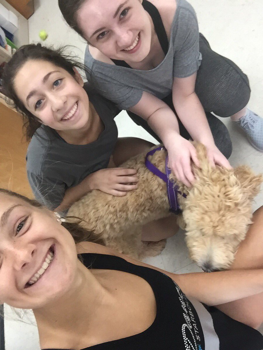 RFHdance's tweet image. We would like to wish a very happy first birthday to or furry friend @rfhviolet 🎈🐾