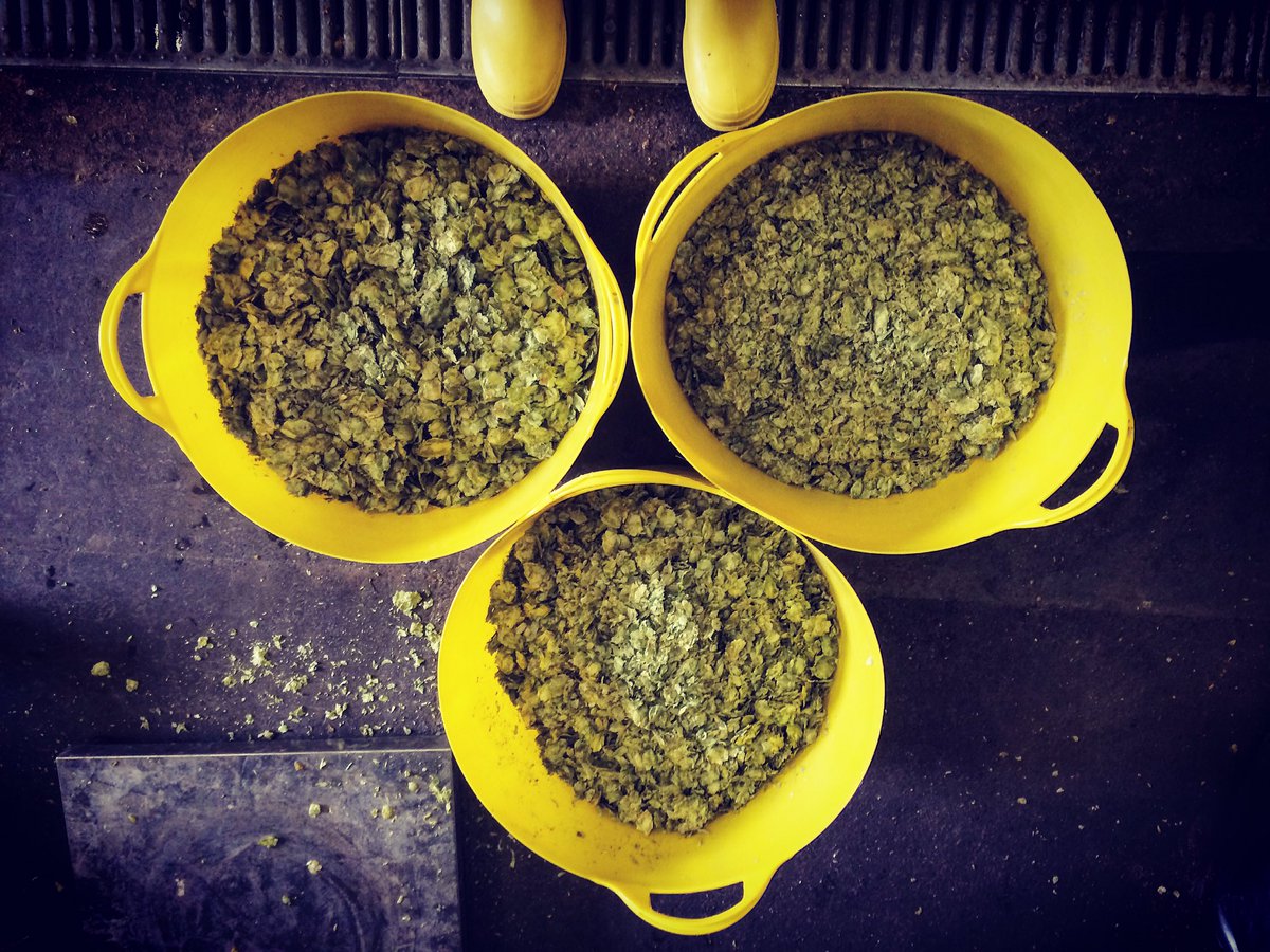 Wine_vaults's tweet photo. Smellevision 🙃
#hoprod #morehops #southsea #craftbeer @StaggeringBeer #beervaults https://t.co/yspknYm4MO