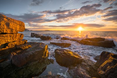 MagazineofMaine's tweet image. If you're in the Portland area today, stop by Whole Foods Market's 5% DAY to help support @FriendsofAcadia and @AcadiaNPS.