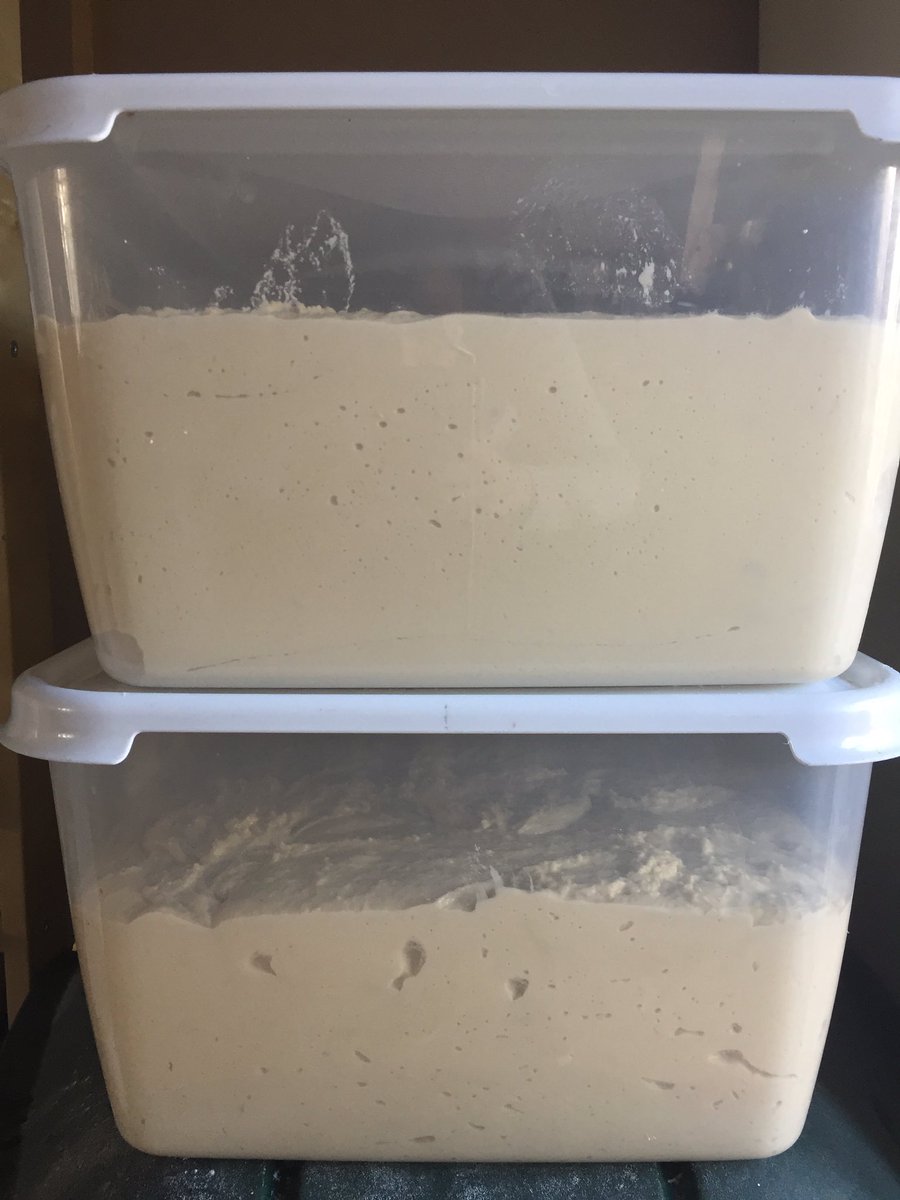 scream_pizza's tweet photo. The dough is on it's merry way. Thanks for the start @batchjesmond 🍕 https://t.co/bsT9ixiWkI