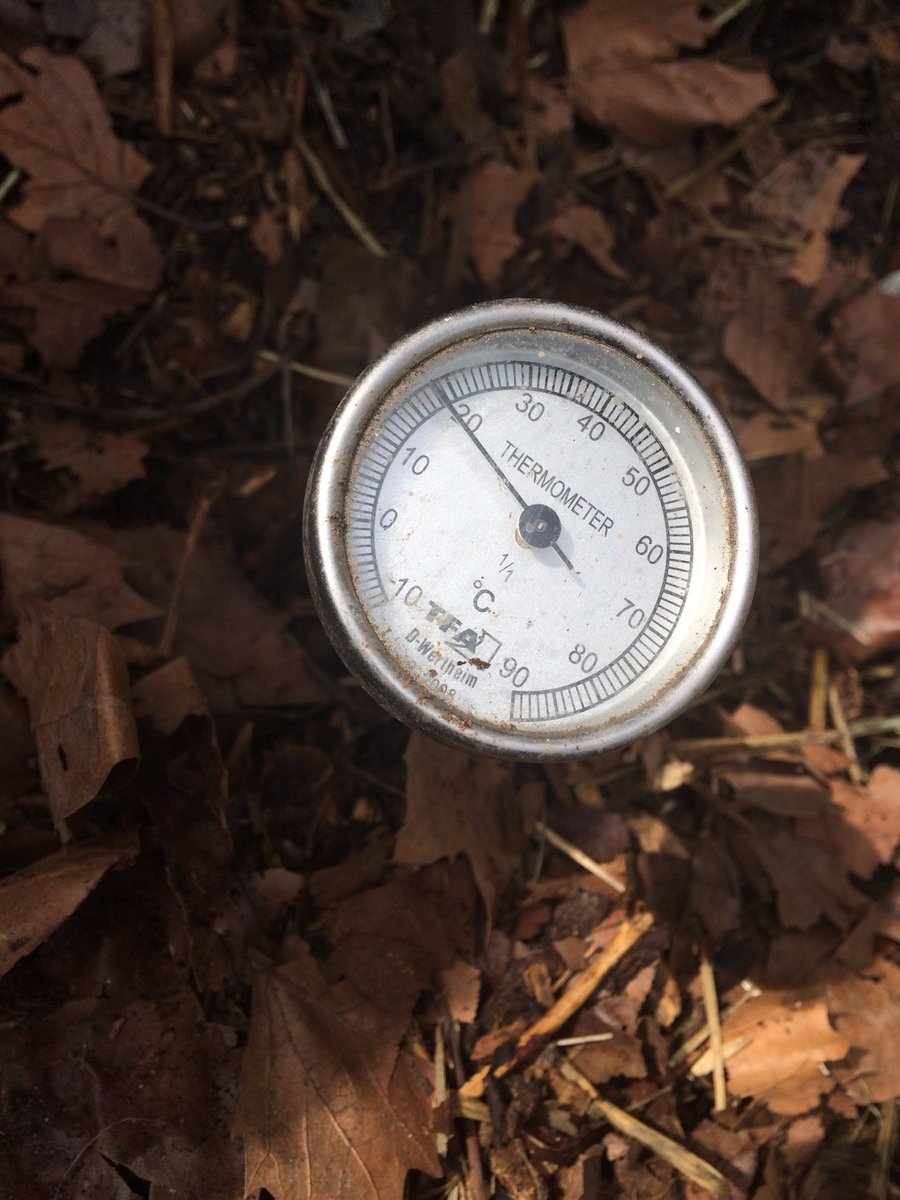 WorkCrewLH's tweet photo. After four days, compost temperature has not change: 20ºC. On the left 1st day, and on the right 2nd day picture. @NSPC_I #compostlab https://t.co/l9WNMp1UFh