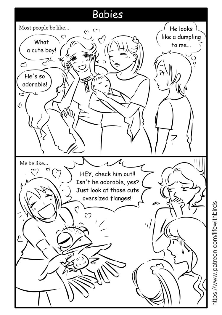 ArtOfEmm's tweet photo. Tell me I'm not alone in this? :D
 Art by me. More #bird #comics for you on my Patreon: https://t.co/eO2RTBR2m5 #birdcomics #parrot #lol https://t.co/uzQOLHG88y