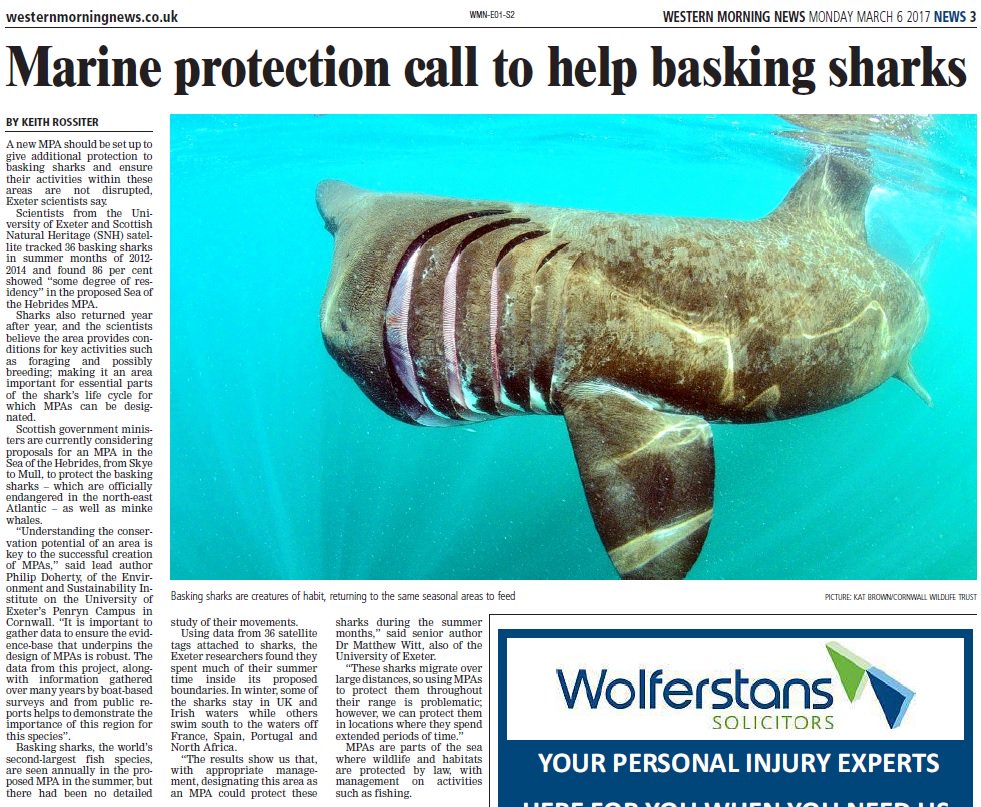 UniofExeterNews's tweet photo. The awesome news power of basking #sharks continues - this time in the @WMNNews (@mjwitt1 @tracksharks @UniofExeterESI) https://t.co/rNLvyClDiI