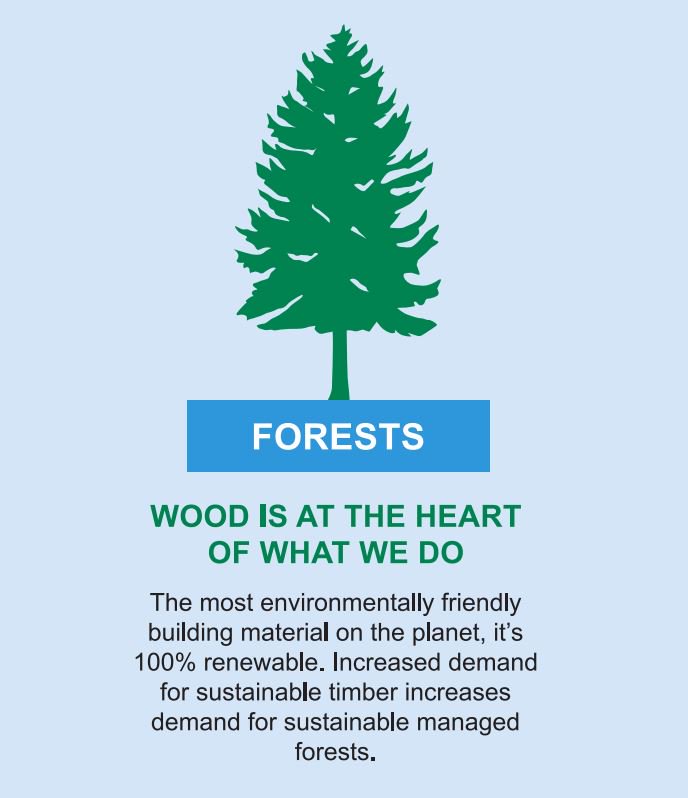 balcastimber's tweet photo. Did you know that for every tree we use, we plant four more?
#TreeWeek2017 https://t.co/Bu72dtP3cC