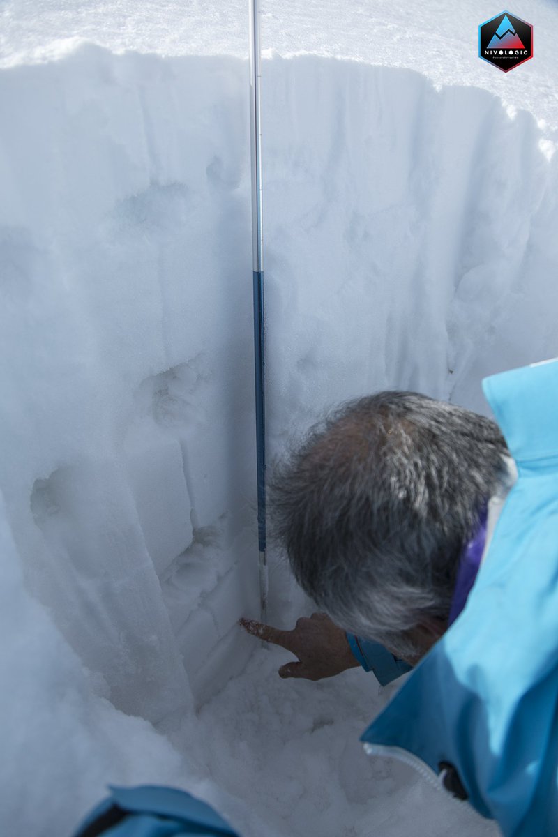 Nivologic tweet media