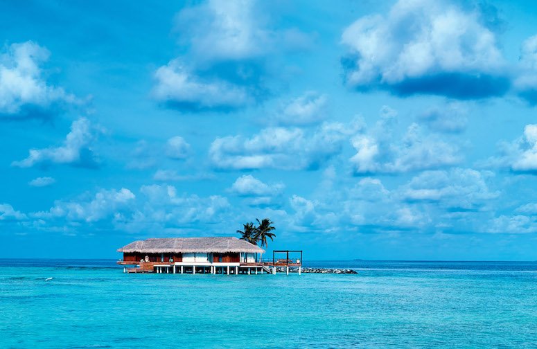 Beyond #luxury exclusive #boutique #hideaway in the #Maldives. waytuner.com/travel/velaa-p…
#Velaa #travel #holiday #hotel #resort #Island