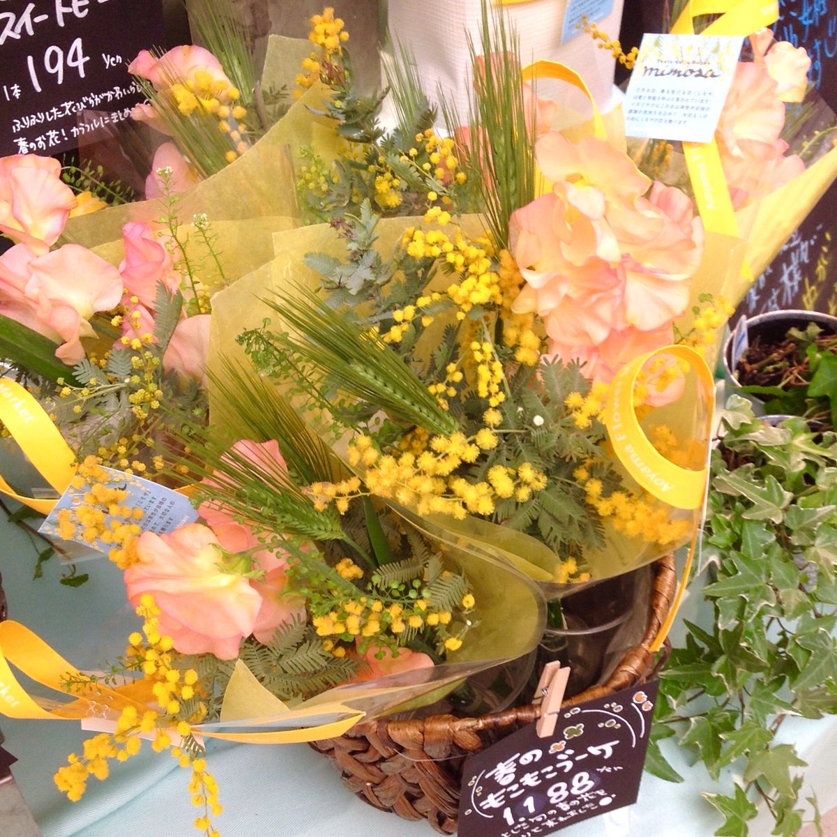 渋谷ヒカリエ Shinqsーシンクスー No Twitter 3月8日は ミモザの日 2f 青山フラワーマーケット Shinqs店には ミモザ の黄色を基調にしたアレンジブーケが入荷しています 明日3月8日の ミモザの日 にまた詳細ご紹介いたします ビューティ担当 Shinqs 渋谷ヒカリエ Shinqsーシンクスー No Twitter 3月8日は ミモザの日 2f 青山フラワーマーケット Shinqs店には ミモザ の黄色を基調にしたアレンジブーケが入荷しています 明日3月8日の ミモザの日 にまた詳細ご紹介いたします ビューティ担当 Shinqs
