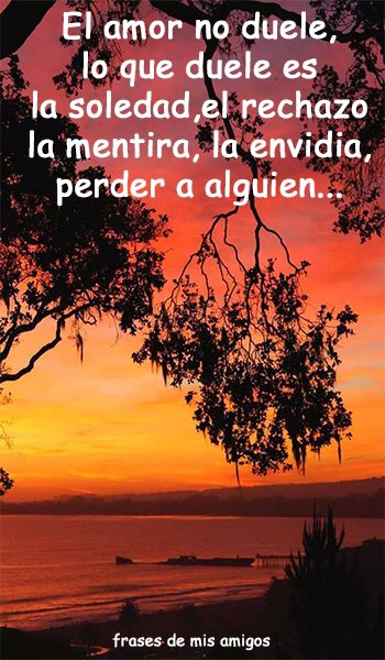 Carlos Castro (@carlinioscastro) on Twitter photo 