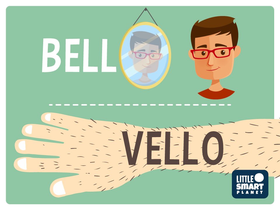 LSPGames's tweet image. ¿Quieres mejorar su #ortografía?. Utiliza las imágenes de @LSPGames