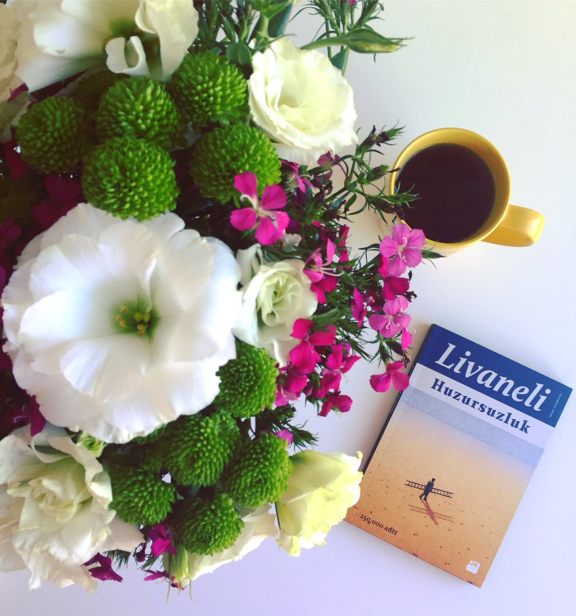 Oblado_com's tweet photo. "Bu dünya bir penceredir
Her gelen baktı geçti."
#huzursuzluk #zülfülivaneli 
#okudumbitti #kitap #book https://t.co/bo9KOUNzHb