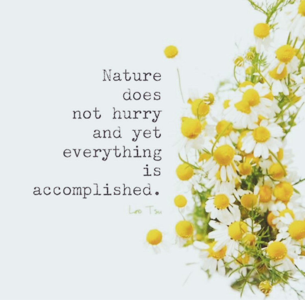 ClassyCatey's tweet photo. Have a really great day y'all! May love lift you & light surround you. #allfallsintoplace #springuponus https://t.co/KvIQkKyAbS