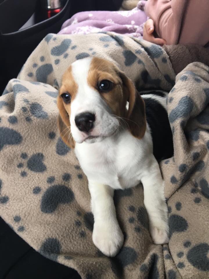 Penny Mackay tweet media