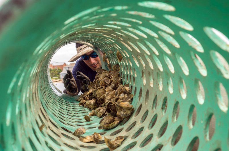 Congrats to <a href="/markalovewell/">Mark Alan Lovewell</a>, first place for general news photo, 2017 <a href="/nenpa/">NE Newspaper & Press</a> awards. <a href="/CottageCity/">Cottage City Oysters</a> Oysters