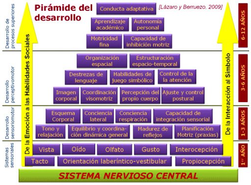 borboleta_esp's tweet photo. Lectoescritura según la neurociencia. Resumen de la charla https://t.co/jXklbWucBb https://t.co/WfhcgsjPeY