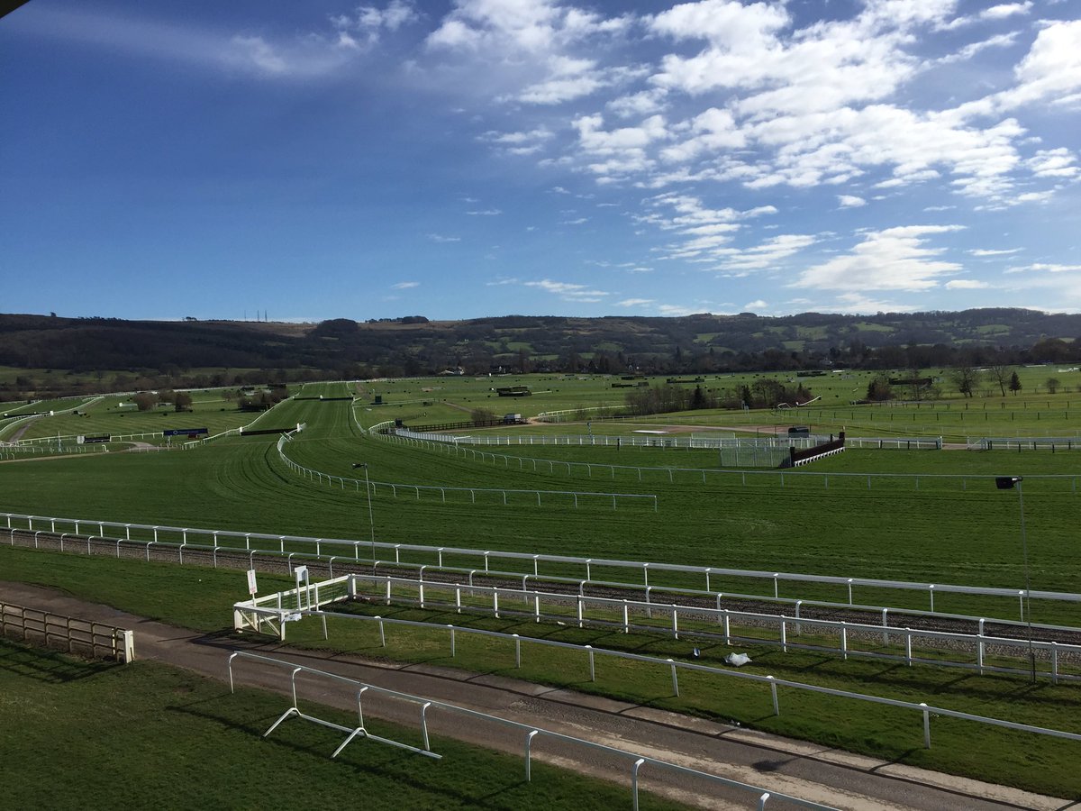 CheltenhamRacecourse tweet media