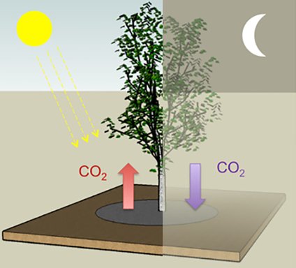 ChemSusChem (@chemsuschem) on Twitter photo Review by <a href="/caferyavuz/">Cafer T. Yavuz</a> et al. on CO2 #adsorbents to reduce the cost of #carboncapture <a href="/kaistpr/">KAISTPR</a> <a href="/NorthwesternU/">Northwestern</a> doi.wiley.com/10.1002/cssc.2… Review by <a href="/caferyavuz/">Cafer T. Yavuz</a> et al. on CO2 #adsorbents to reduce the cost of #carboncapture <a href="/kaistpr/">KAISTPR</a> <a href="/NorthwesternU/">Northwestern</a> doi.wiley.com/10.1002/cssc.2…
