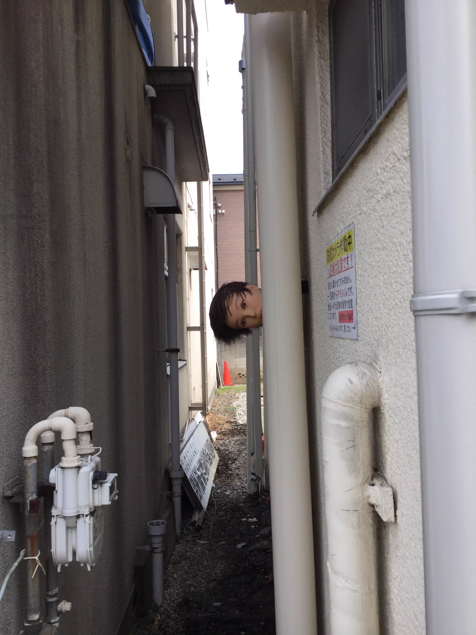 夜見ると恐怖でしかないｗ効果抜群の防犯対策がこちらｗｗ
