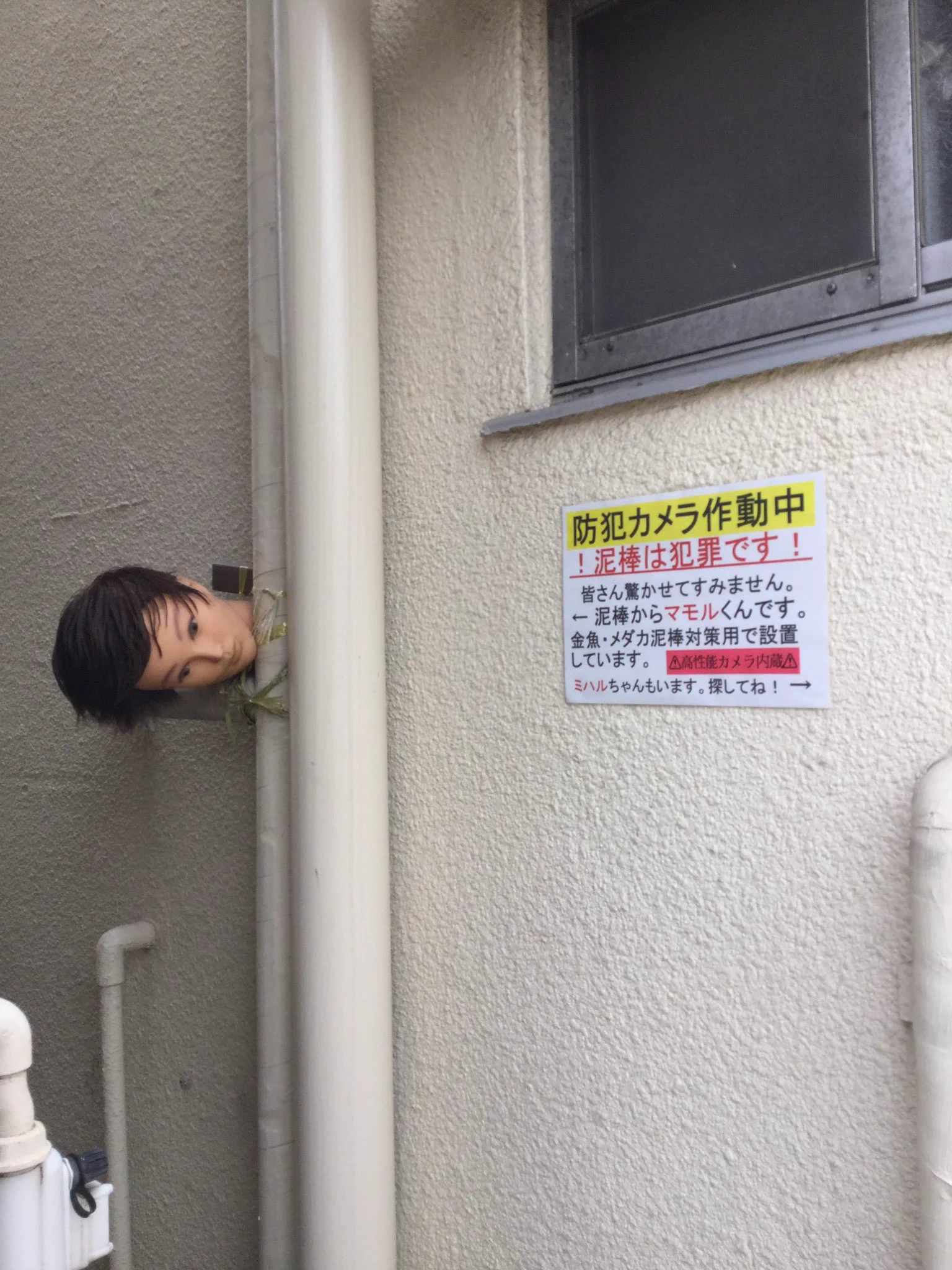 夜見ると恐怖でしかないｗ効果抜群の防犯対策がこちらｗｗ