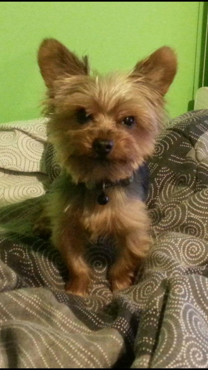 Timdog500 tweet picture