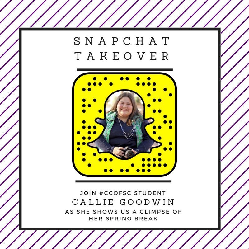 ColumbiaKoala's tweet photo. Join us on Snapchat (@CCofSC) as #CCofSC student Callie Goodwin shows us a glimpse of her spring break! #CCofSCSpringBreak https://t.co/EMeTSPQW3q