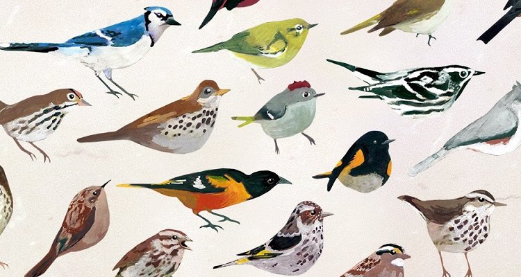 NEXTpittsburgh's tweet photo. Chirp chirp. New Dawn Chorus app from @CarnegieMNH lets you wake to the soothing sounds of birds: https://t.co/T3cOm86g5E https://t.co/A8BQPYumxU