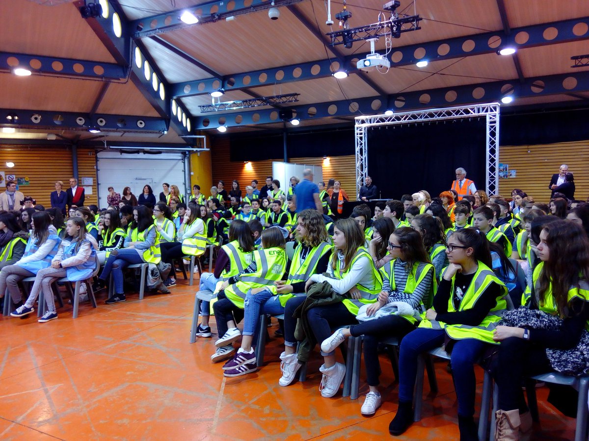 DSDEN 31 tweet media