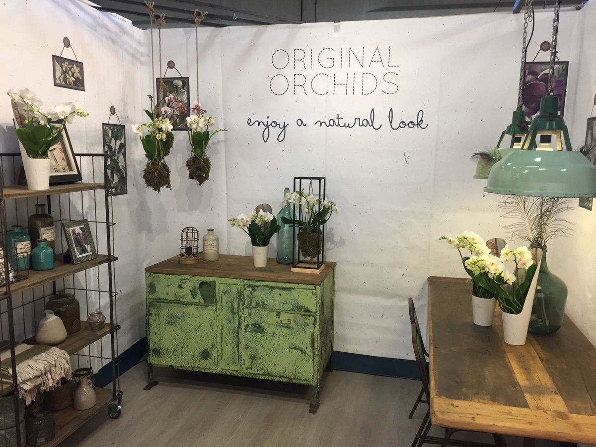 NieuwBos's tweet photo. Vanaf morgen 2 dagen op de @RFHTradeFair in Naaldwijk. Kom en bekijk onze jungle orchideeën. We zien u graag in stand 2.1 #originalorchids https://t.co/5L0Y9XI80A