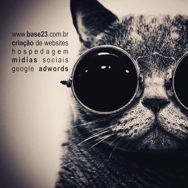 base23web tweet picture