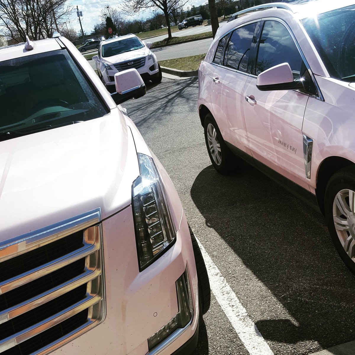KristinMyersNSD's tweet photo. Team Pink #pinksquad #caddychicks #visionarea https://t.co/QTdeCBx3Oj