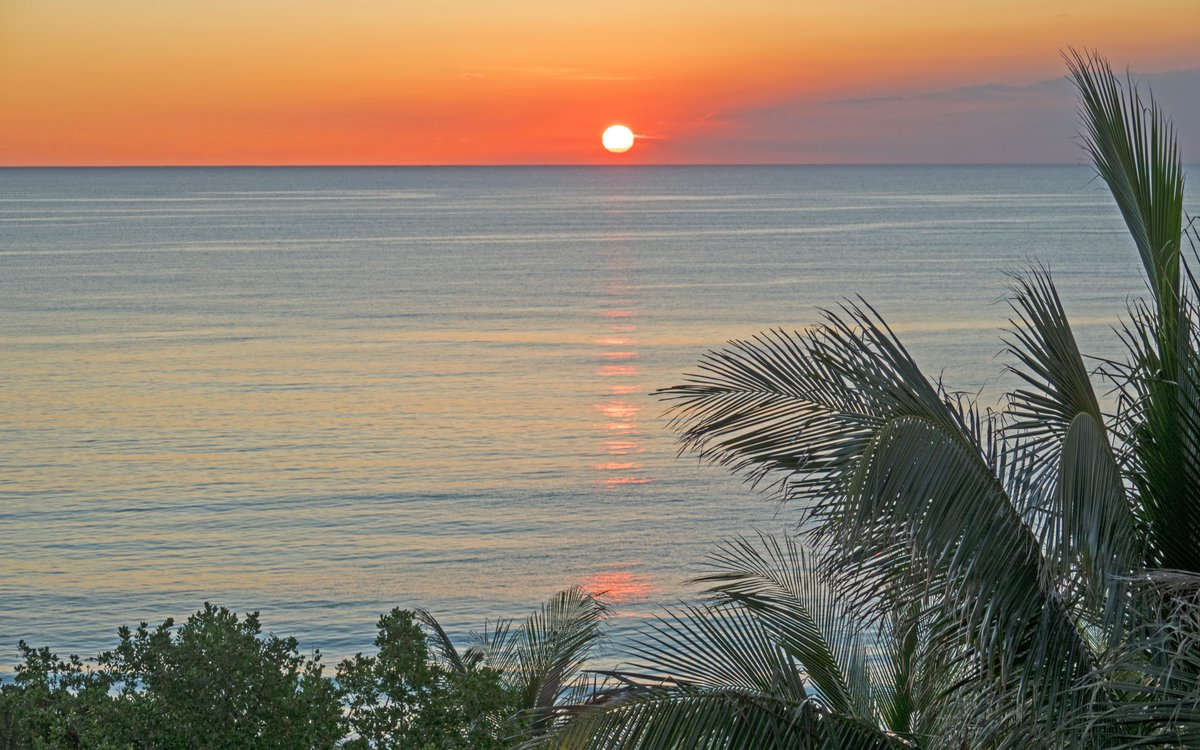 DelphiClubAbaco's tweet photo. The #delphiclub sunrise collection by Clint Harris: No. 4 https://t.co/8ipySuTrIO