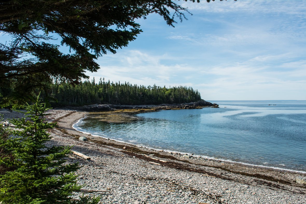 DestinationNB's tweet photo. Adventure is in our nature. Come explore our #NBParks this summer.
#ExploreCanada | #ExploreNB https://t.co/wb234mpO69