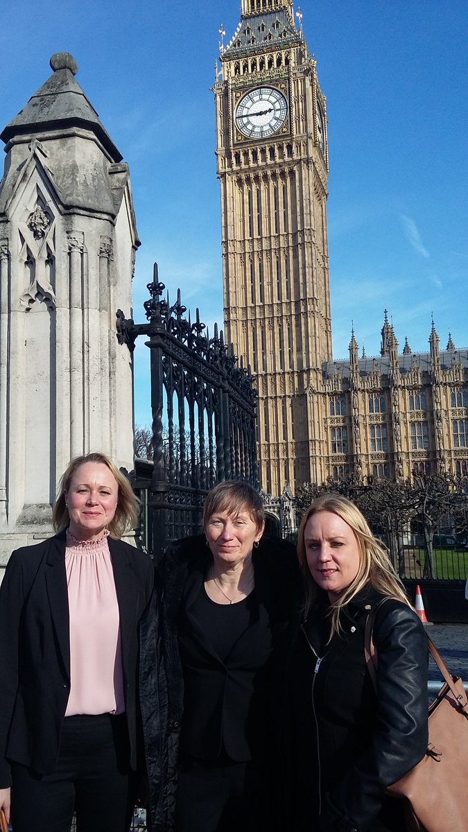 TheNelsonTrust's tweet image. At Houses of Parliament with Rose Mahon to celebrate the 10th Anniversary of the Corston Report #IWD2017