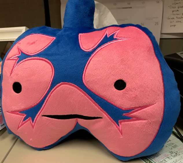 ESG_UC's tweet image. SCAVENGER HUNT: Whoever finds Larry the Lungs, gets a free #TobaccoFreeUC t-shirt! Stay tuned for the clues to where he is!