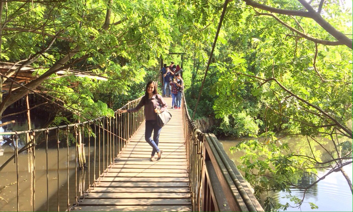 Hutan mangrove. Bagus sih tapi kotor! 😒