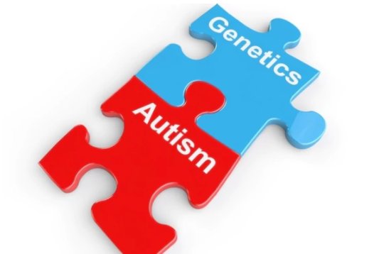 Discovery of 18 new autism-linked genes may point to new treatments bit.ly/2lYnKV6