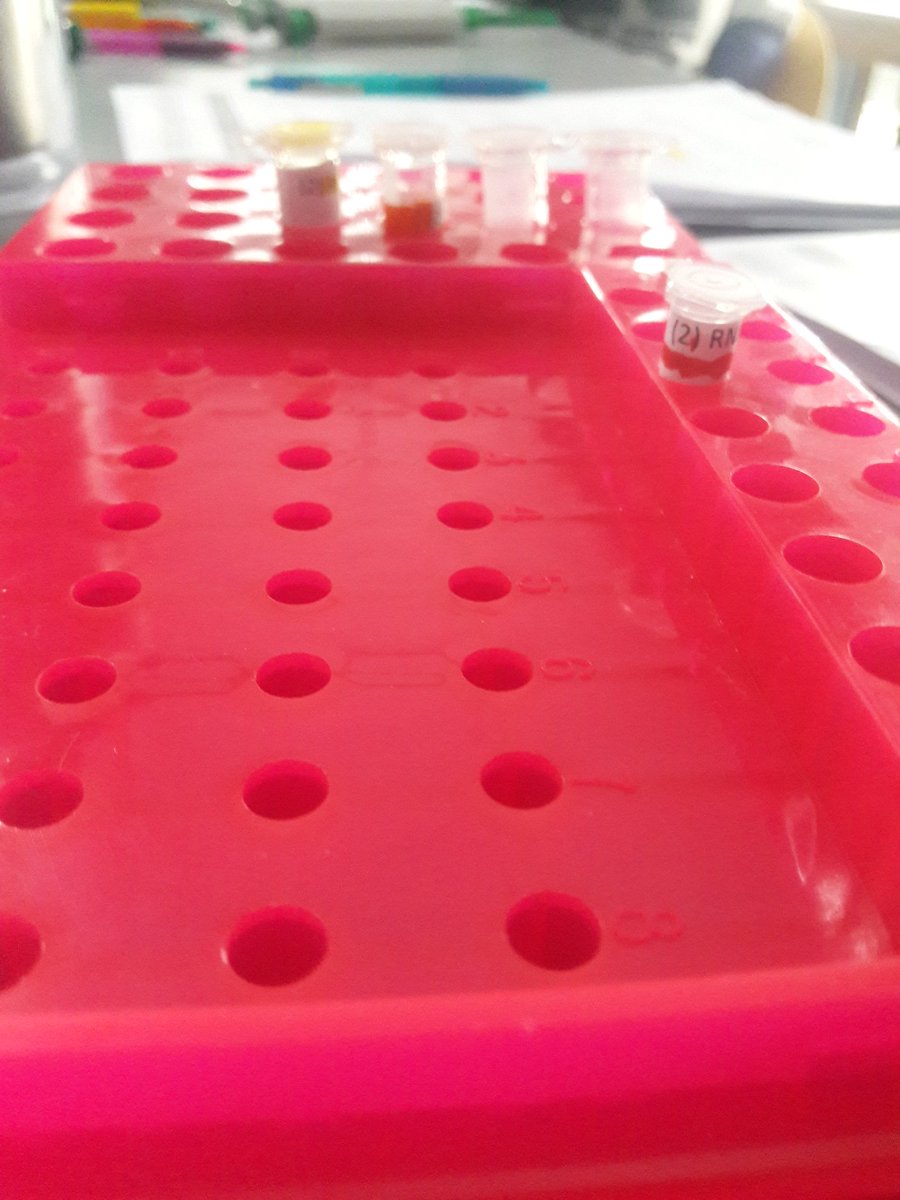 theunrealhannah's tweet photo. #Wscascience https://t.co/7lfdiczbFB