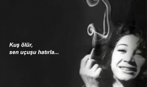 Kuş ölür,
Sen uçuşu hatırla...
F. Ferruhzad