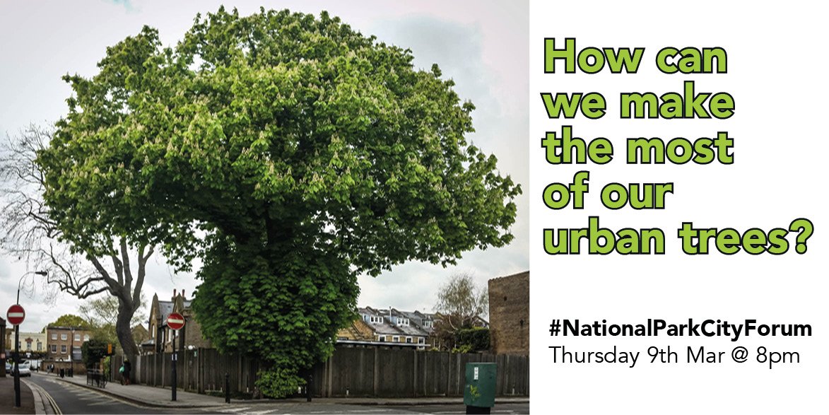 Join <a href="/TheStreetTree/">Paul Wood 🌳</a> &amp; <a href="/SAVEDORETREES/">Vernon Oak</a> Thurs night: How can we make the most of our urban trees? Nature's tower blocks! #NationalParkCityForum