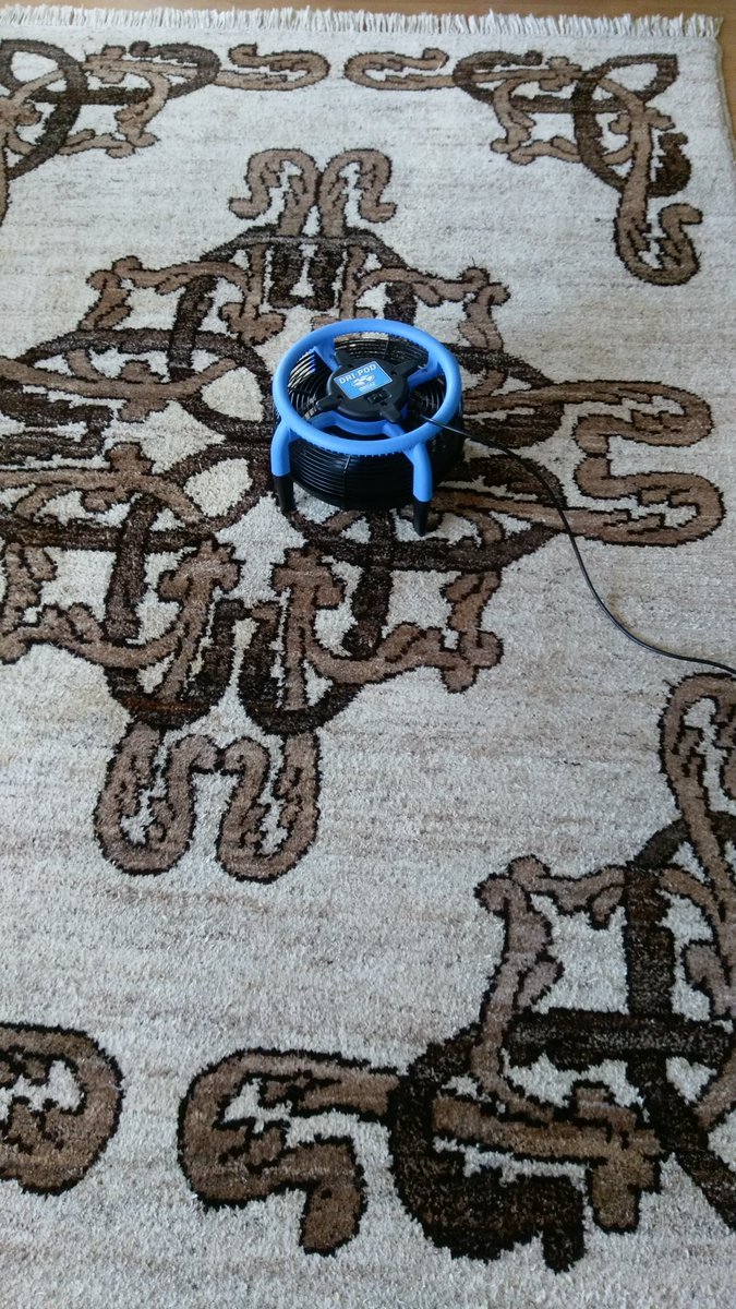 Finishing the day cleaning a 30 year old, handmade Ethiopian rug.  No room for error on this one.  Customer delighted.